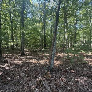 Photo #2 of Dixie Hill Rd, Buckingham, VA 2.6 acres