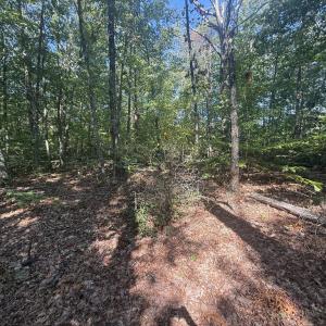 Photo #3 of Dixie Hill Rd, Buckingham, VA 2.6 acres