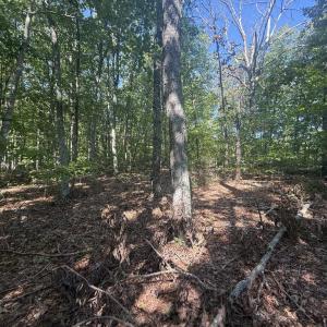 Photo #4 of Dixie Hill Rd, Buckingham, VA 2.6 acres
