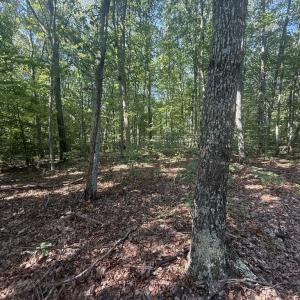 Photo #5 of Dixie Hill Rd, Buckingham, VA 2.6 acres