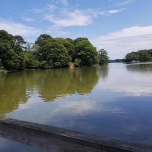 View from Community Pier