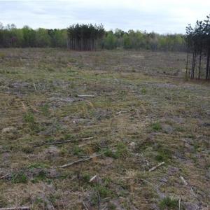 Photo #2 of Prince Edward Hwy, Prince Edward, VA 20.6 acres