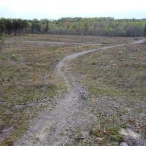 Photo #3 of Prince Edward Hwy, Prince Edward, VA 20.6 acres