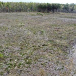 Photo #4 of Prince Edward Hwy, Prince Edward, VA 20.6 acres