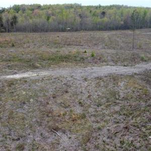 Photo #6 of Prince Edward Hwy, Prince Edward, VA 20.6 acres