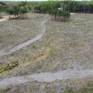 Photo #7 of Prince Edward Hwy, Prince Edward, VA 20.6 acres