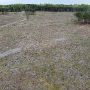 Photo #8 of Prince Edward Hwy, Prince Edward, VA 20.6 acres