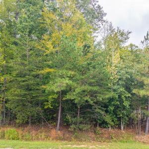 Photo #3 of Briarwood Dr, Farmville, VA 1.3 acres