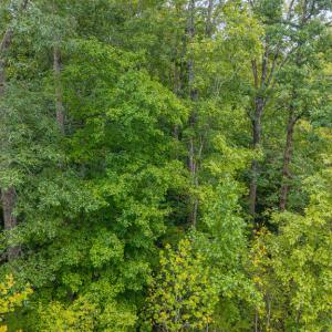 Photo #7 of Briarwood Dr, Farmville, VA 1.3 acres