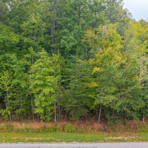 Photo #8 of Briarwood Dr, Farmville, VA 1.3 acres