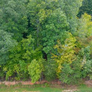 Photo #9 of Briarwood Dr, Farmville, VA 1.3 acres