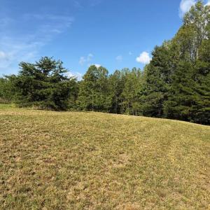 Photo #8 of Oakville Road, Gladstone, VA 17.4 acres