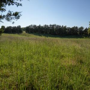 Photo #10 of 630 Meherrin Road, Meherrin, VA 7.0 acres