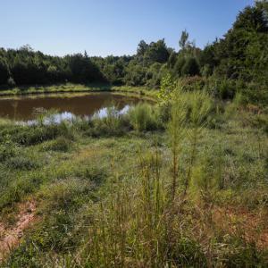 Photo #11 of 630 Meherrin Road, Meherrin, VA 7.0 acres