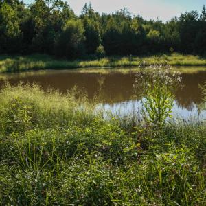 Photo #12 of 630 Meherrin Road, Meherrin, VA 7.0 acres