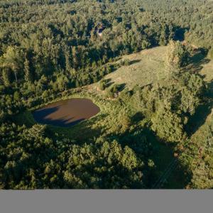 Photo #17 of 630 Meherrin Road, Meherrin, VA 7.0 acres