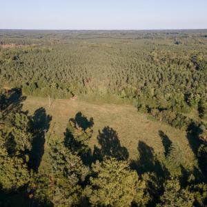 Photo #19 of 630 Meherrin Road, Meherrin, VA 7.0 acres