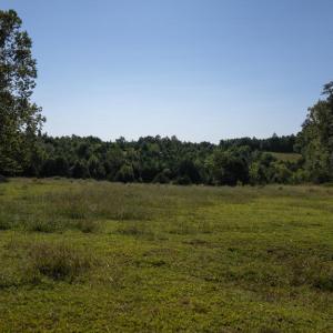 Photo #4 of 630 Meherrin Road, Meherrin, VA 7.0 acres