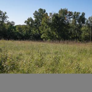 Photo #7 of 630 Meherrin Road, Meherrin, VA 7.0 acres
