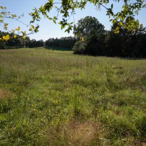 Photo #9 of 630 Meherrin Road, Meherrin, VA 7.0 acres