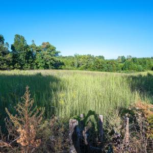 Photo #15 of 630 Schultz Mt. Road, Meherrin, VA 5.0 acres