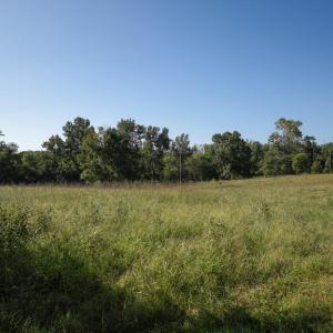 Photo #8 of 630 Meherrin Road, Meherrin, VA 7.2 acres