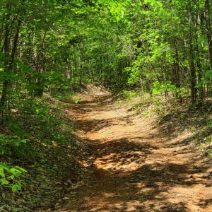 Photo #10 of Lees Mill Road, Drakes Branch, VA 61.5 acres