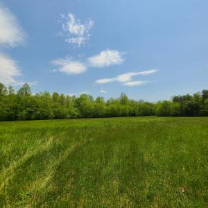 Photo #12 of Lees Mill Road, Drakes Branch, VA 61.5 acres
