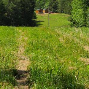 Photo #14 of Lees Mill Road, Drakes Branch, VA 61.5 acres