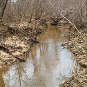Photo #15 of Lees Mill Road, Drakes Branch, VA 61.5 acres