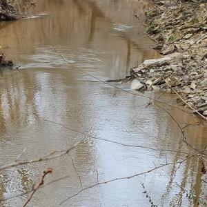 Photo #16 of Lees Mill Road, Drakes Branch, VA 61.5 acres