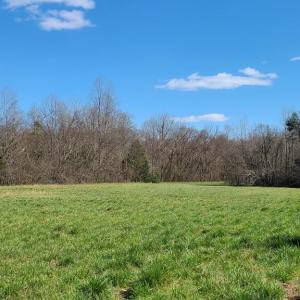 Photo #17 of Lees Mill Road, Drakes Branch, VA 61.5 acres