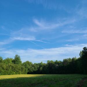Photo #18 of Lees Mill Road, Drakes Branch, VA 61.5 acres