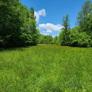 Photo #23 of Lees Mill Road, Drakes Branch, VA 61.5 acres
