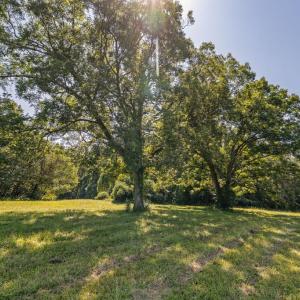 Photo #32 of Lees Mill Road, Drakes Branch, VA 61.5 acres