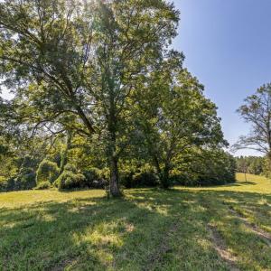 Photo #33 of Lees Mill Road, Drakes Branch, VA 61.5 acres