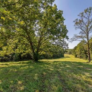 Photo #34 of Lees Mill Road, Drakes Branch, VA 61.5 acres
