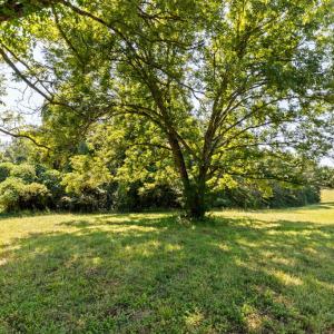 Photo #36 of Lees Mill Road, Drakes Branch, VA 61.5 acres