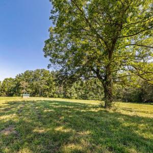 Photo #37 of Lees Mill Road, Drakes Branch, VA 61.5 acres