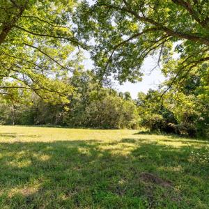 Photo #38 of Lees Mill Road, Drakes Branch, VA 61.5 acres