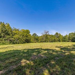 Photo #39 of Lees Mill Road, Drakes Branch, VA 61.5 acres