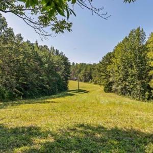 Photo #40 of Lees Mill Road, Drakes Branch, VA 61.5 acres