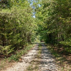 Photo #41 of Lees Mill Road, Drakes Branch, VA 61.5 acres