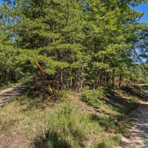 Photo #42 of Lees Mill Road, Drakes Branch, VA 61.5 acres