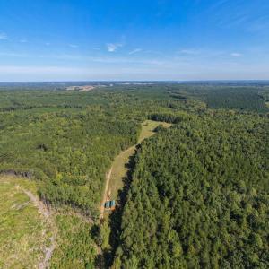 Photo #44 of Lees Mill Road, Drakes Branch, VA 61.5 acres