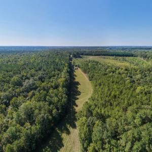 Photo #45 of Lees Mill Road, Drakes Branch, VA 61.5 acres