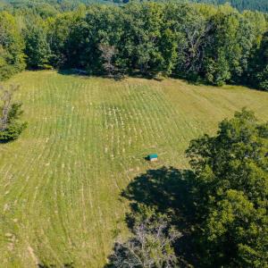 Photo #46 of Lees Mill Road, Drakes Branch, VA 61.5 acres