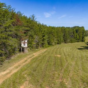 Photo #48 of Lees Mill Road, Drakes Branch, VA 61.5 acres