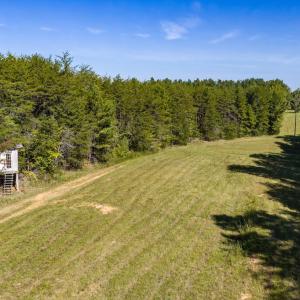 Photo #50 of Lees Mill Road, Drakes Branch, VA 61.5 acres