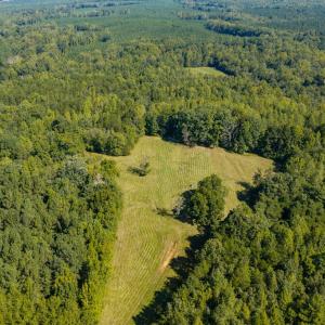 Photo #51 of Lees Mill Road, Drakes Branch, VA 61.5 acres